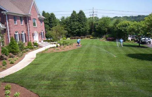 Grounds & Lawn Maintenance