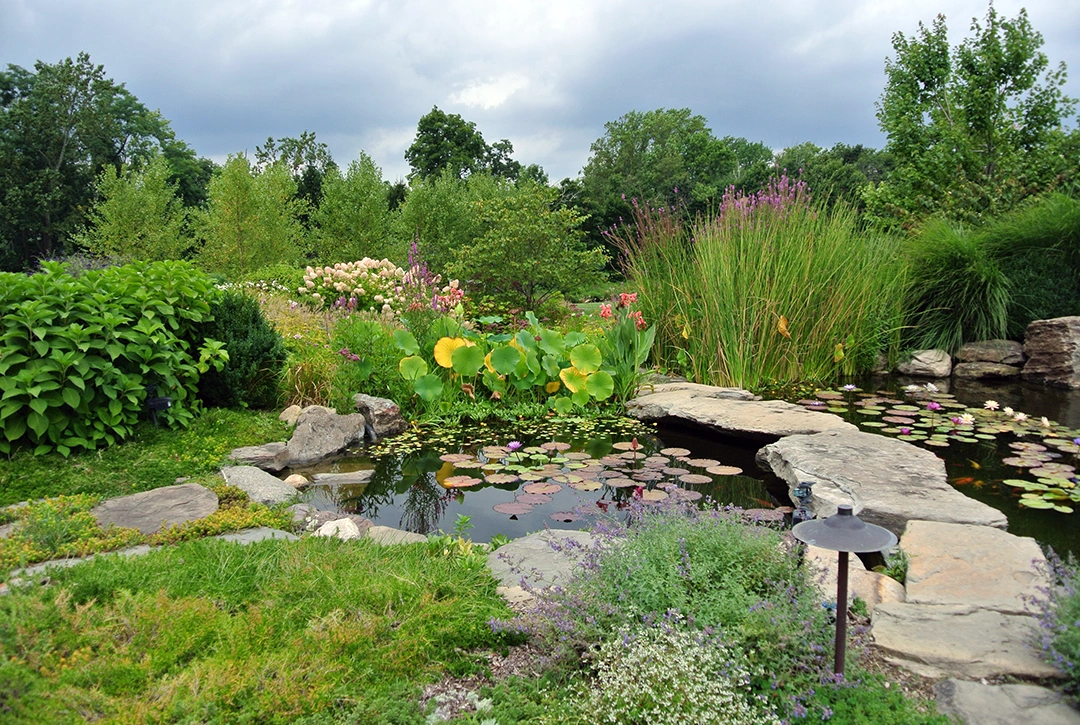 Landscaped pond with water lilies, stone pathways, and diverse garden plantings including ornamental grasses and perennials. Natural stone borders the water feature, surrounded by lush greenery under a cloudy sky.