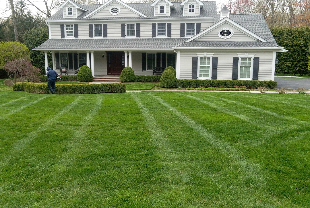 Colonial-style white house with black shutters, freshly striped lawn, manicured hedges, and covered front porch surrounded by evergreen trees.